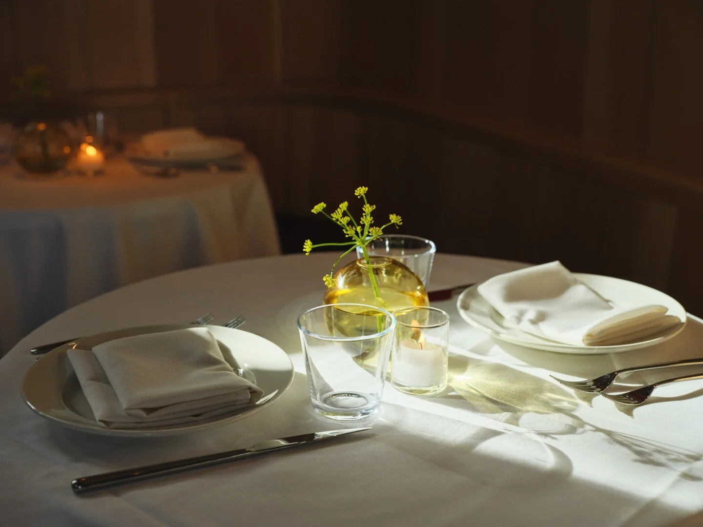 MH_MML_PECAN_0087_FINAL (Large).jpg