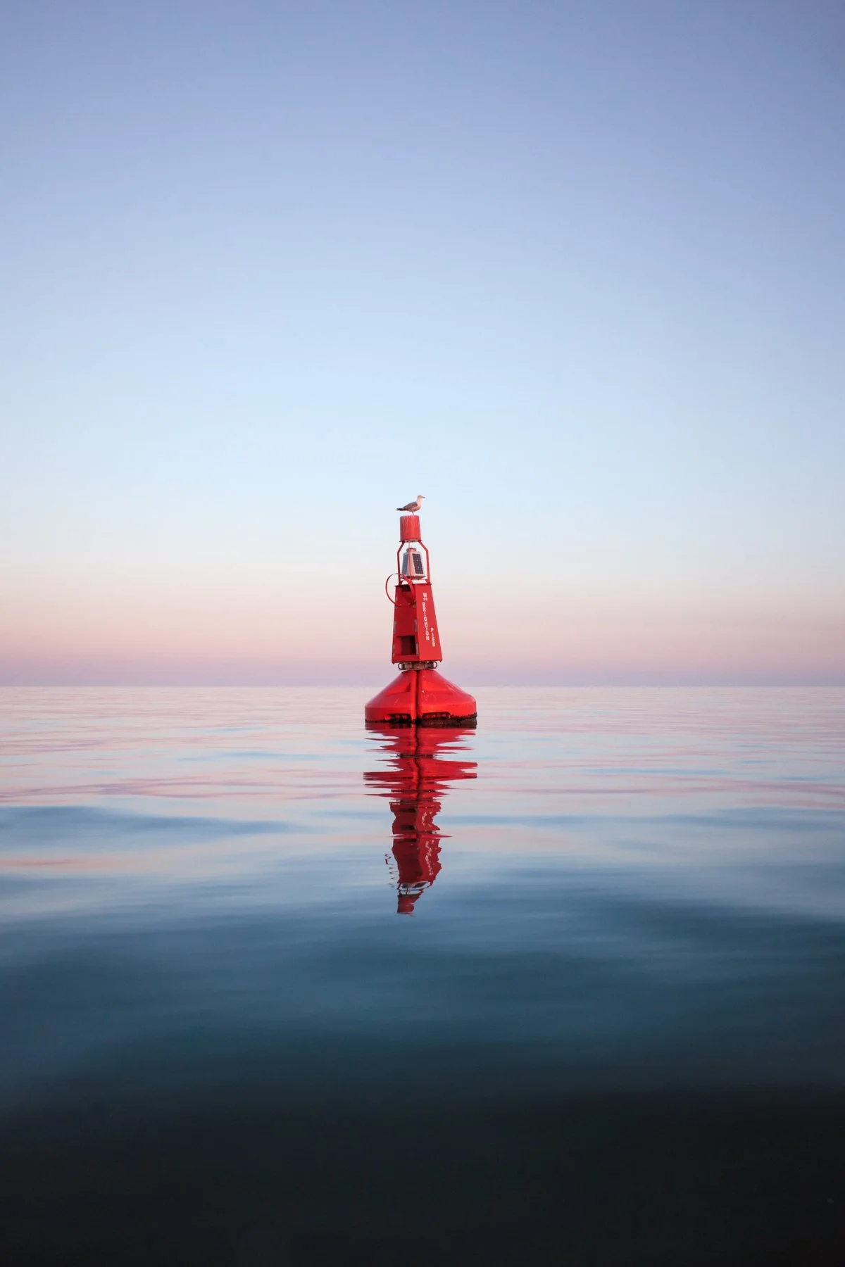 Buoy Meets Gull.jpg