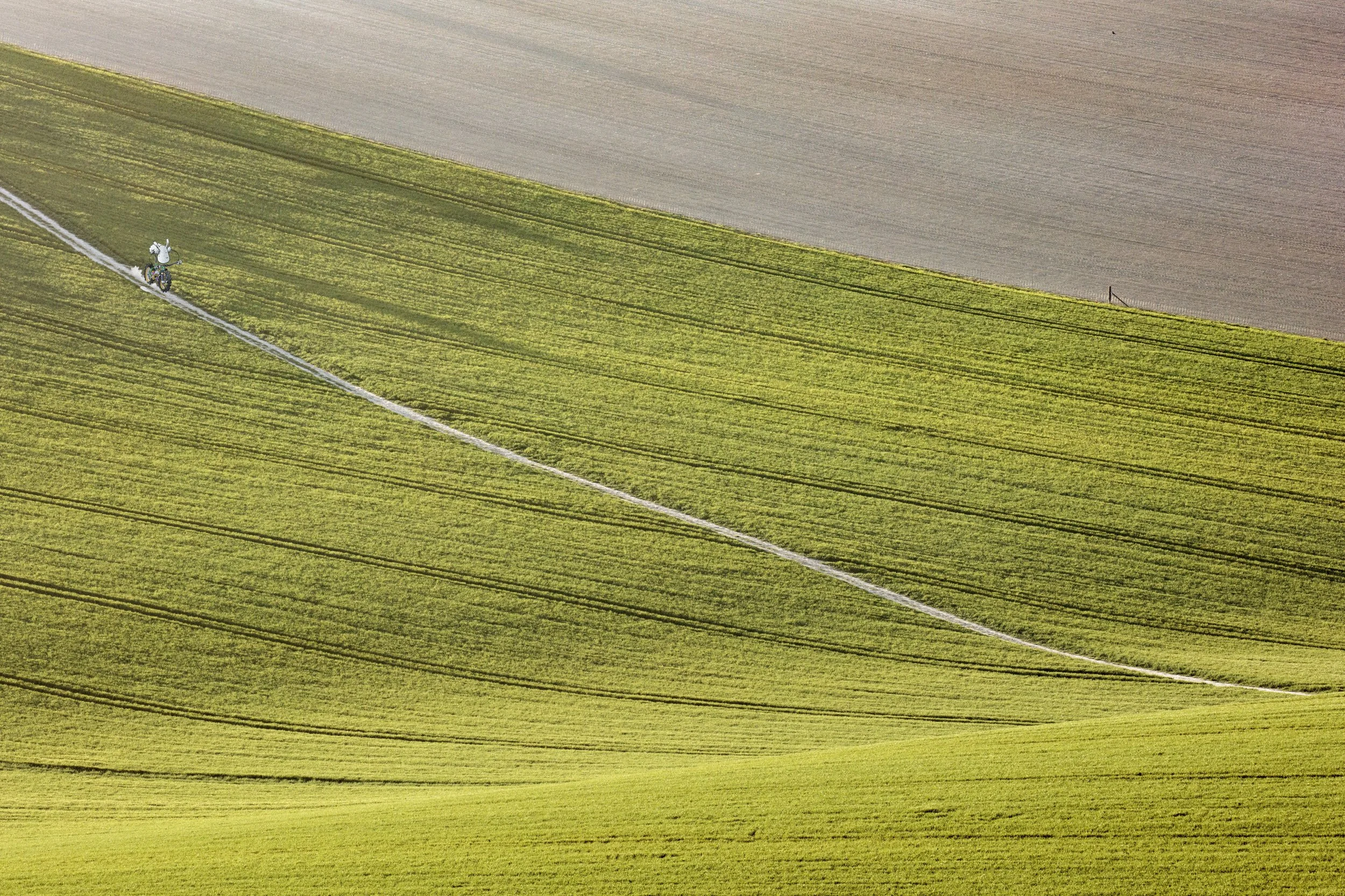 _FH28877-Edit COLLAB 1--2500x.jpg