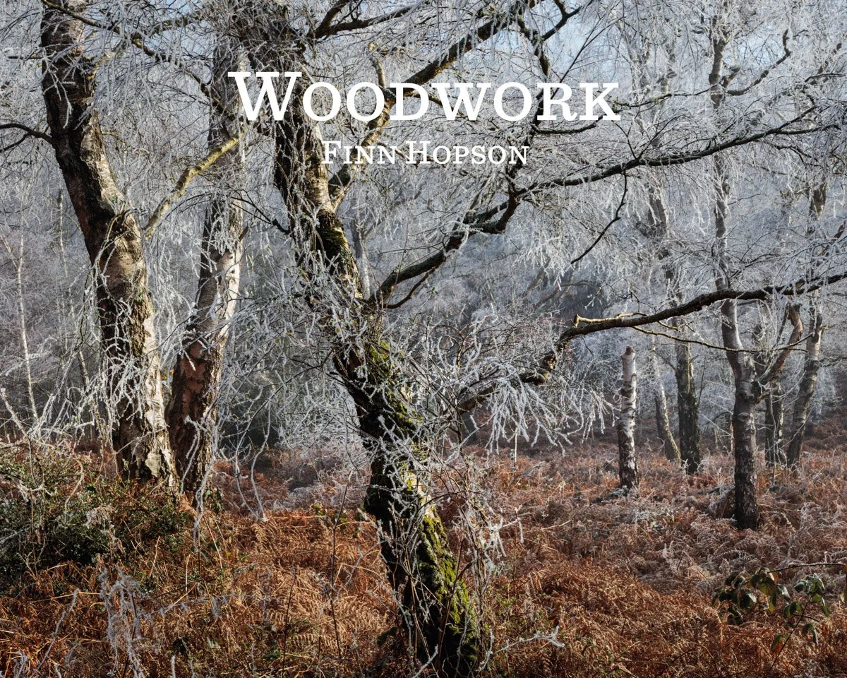 Woodwork Cover 30x24.jpg