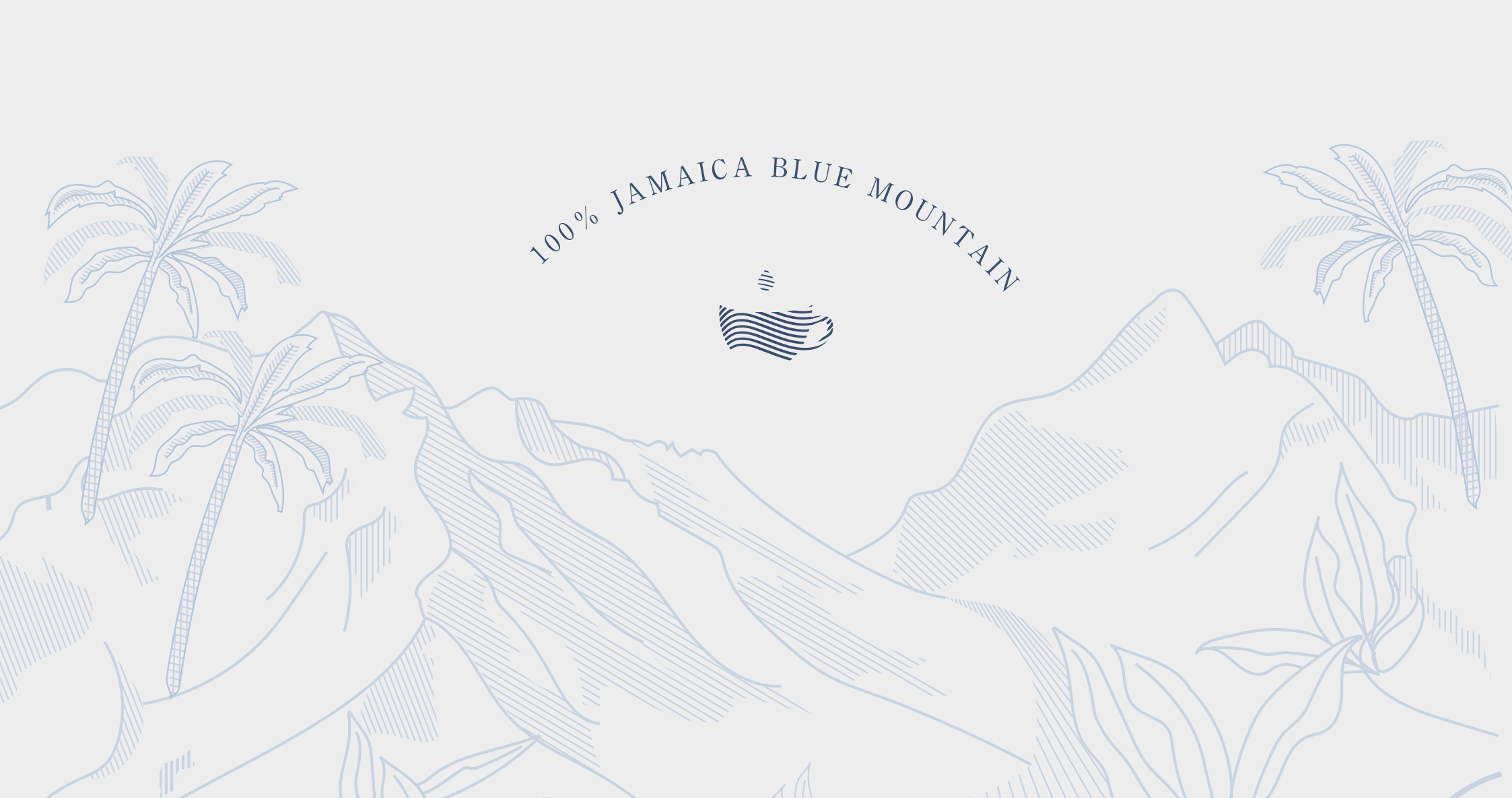 Screen Shot 2021-06-03 at 12.30.14 PM.png