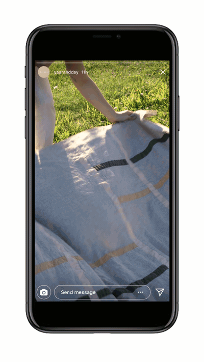 Year&DayPicnicFinal.gif