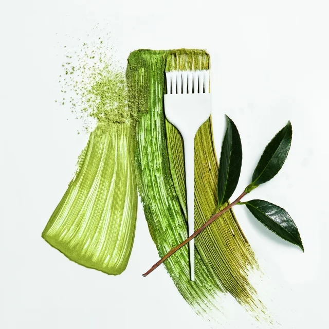 Nick Quine BOTANEA HD OK Trace.jpg