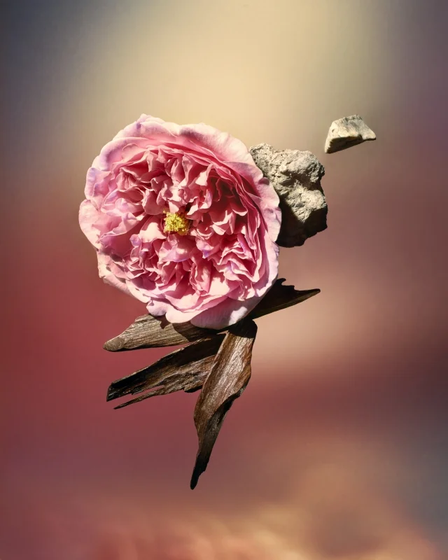 LOUIS VUITTON : LES SABLES ROSES — MIRROR MIRRORMirror Mirror