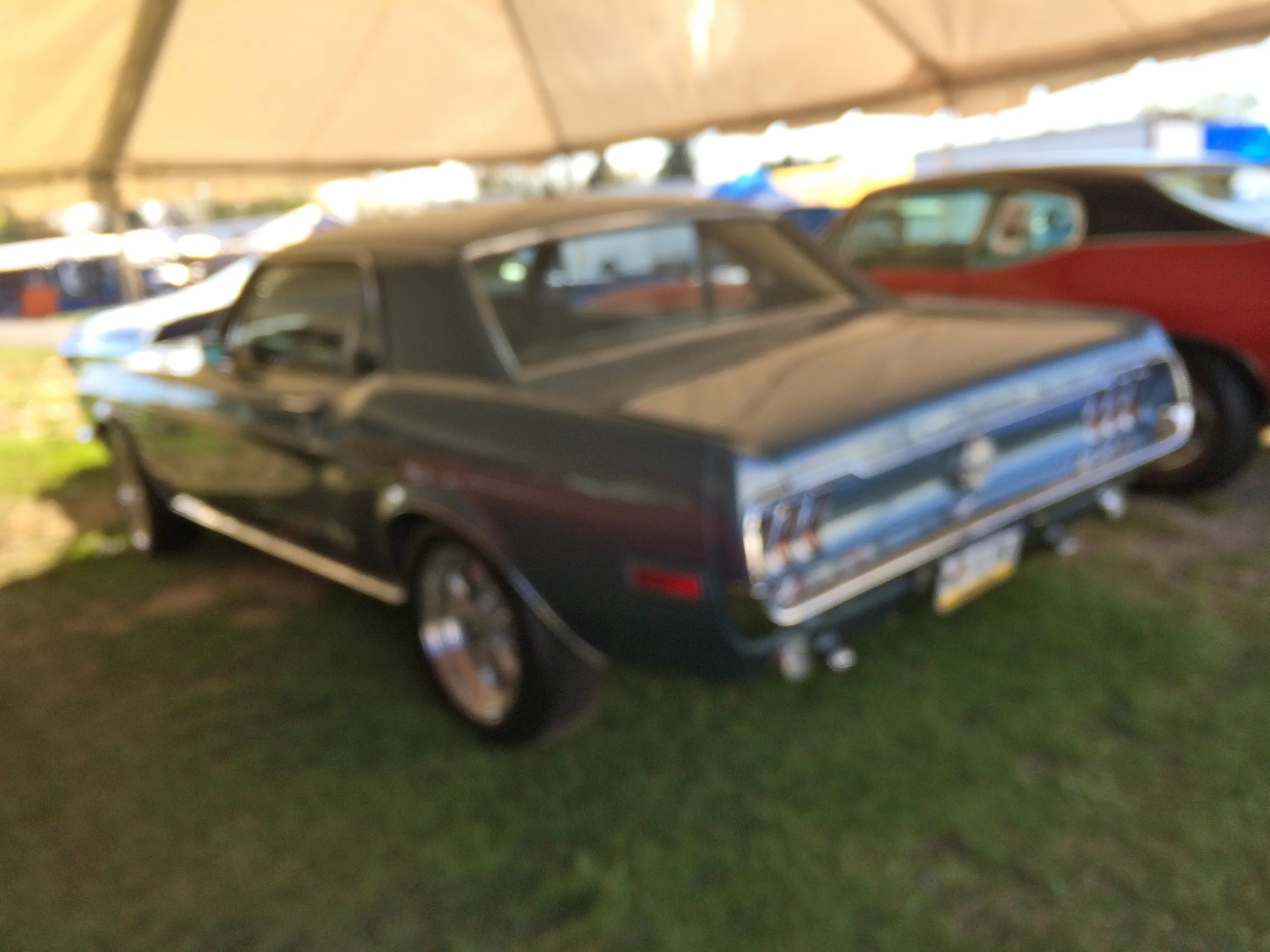 IMG_5252.JPG