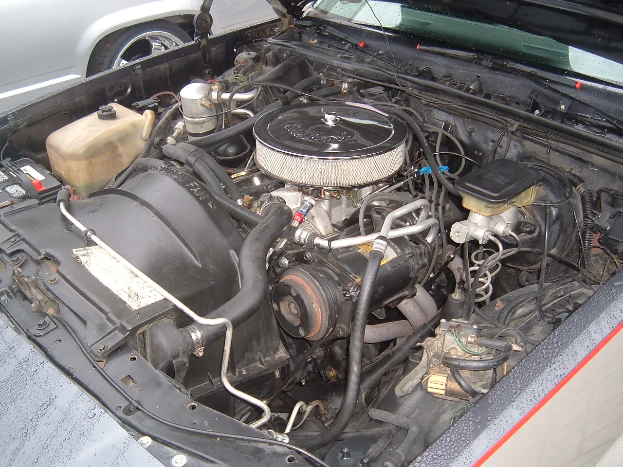 DSCF2116.JPG
