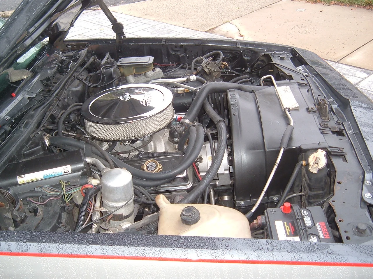 DSCF2118.JPG