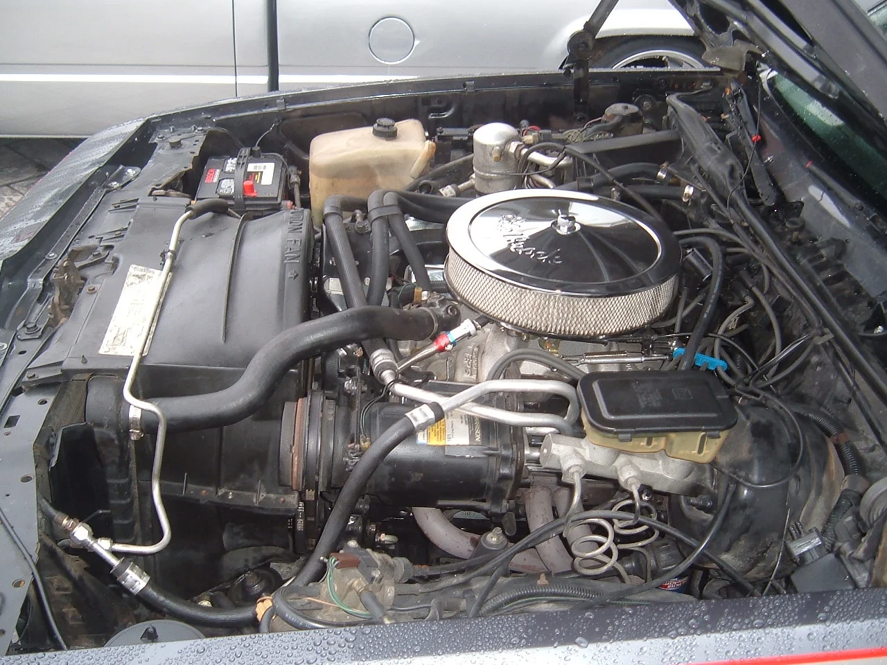DSCF2119.JPG