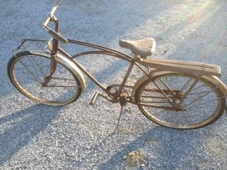 photo.JPG