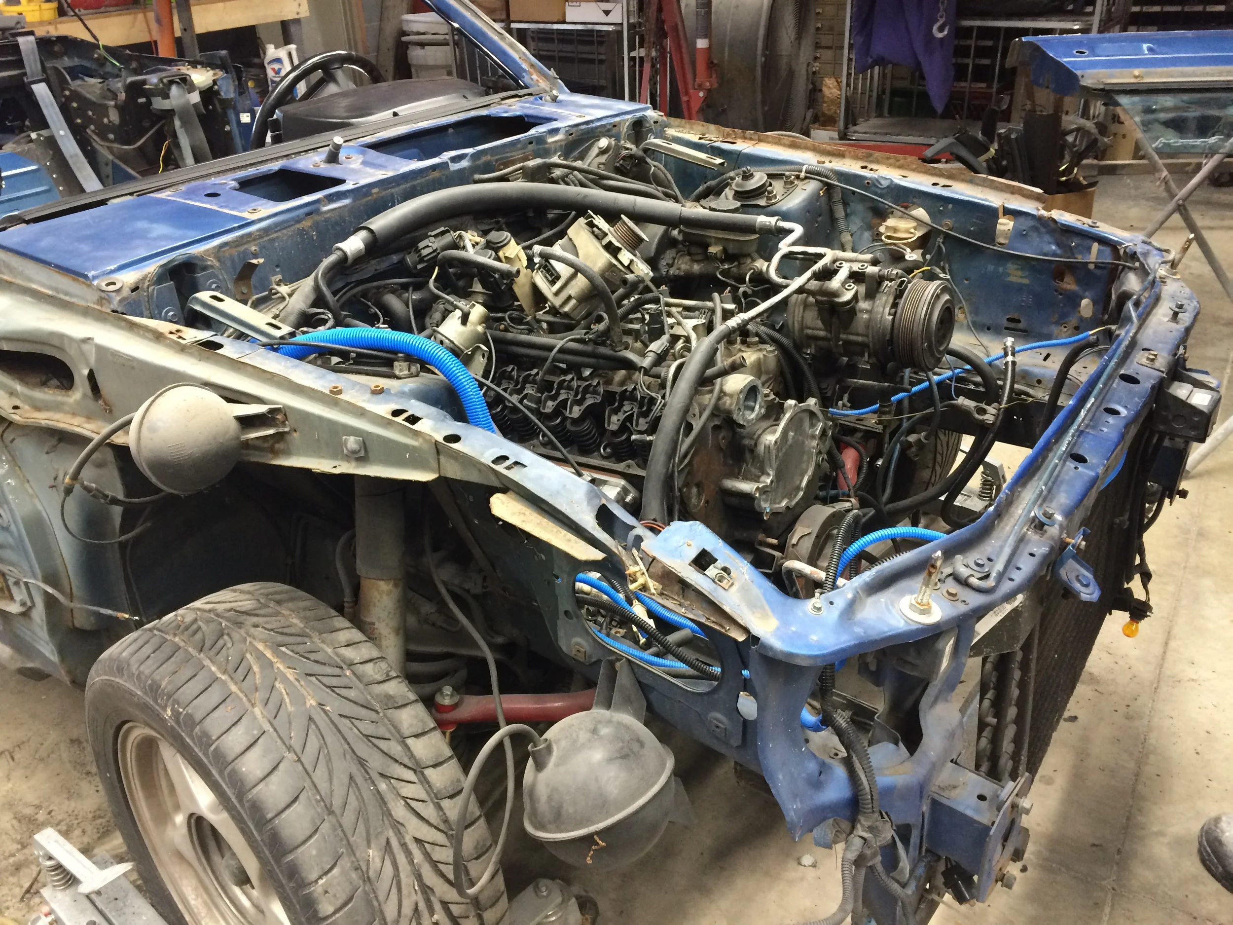 IMG_2146_2.JPG