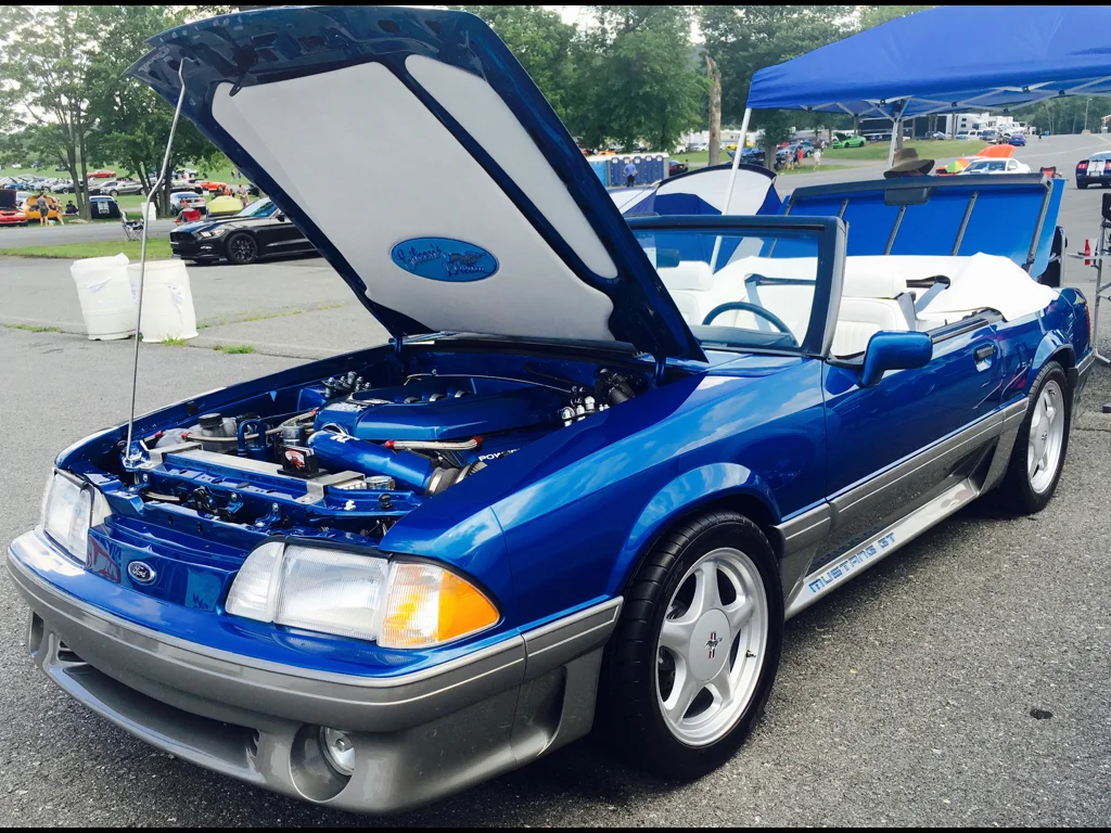 SCHULTZ MUSTANG BOOK12 copy.030.jpeg