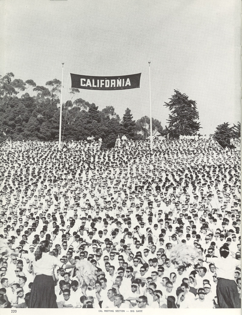 Cal Vintage
