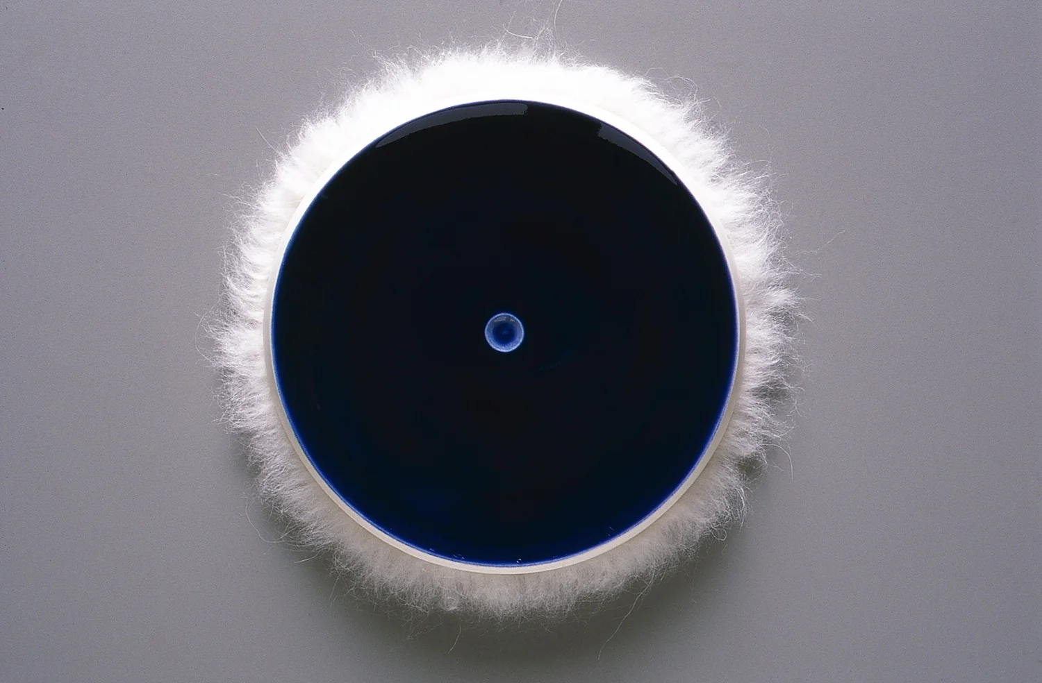 Deep Blue Disc with Muff
