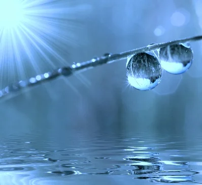 The power of your WORDS