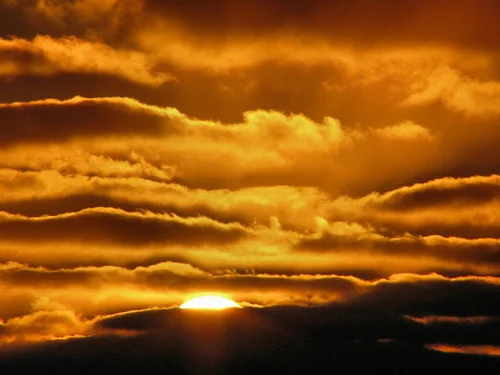 Strength is born in darkness