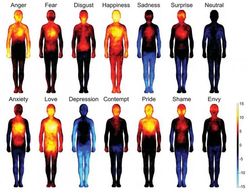 Your emotions - your body. Do you pay attention?