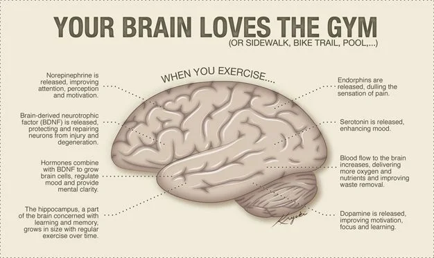 Your brain loves exercise!! Here is why..
