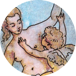 venuscupid banner.png