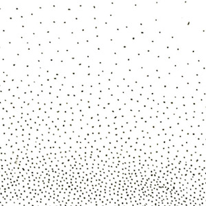 CP_FinalBW_pattern 3.jpeg