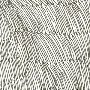 CP_FinalBW_pattern 2.jpeg