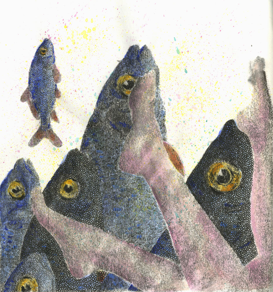 LR_Transfer_fishlegs.jpeg