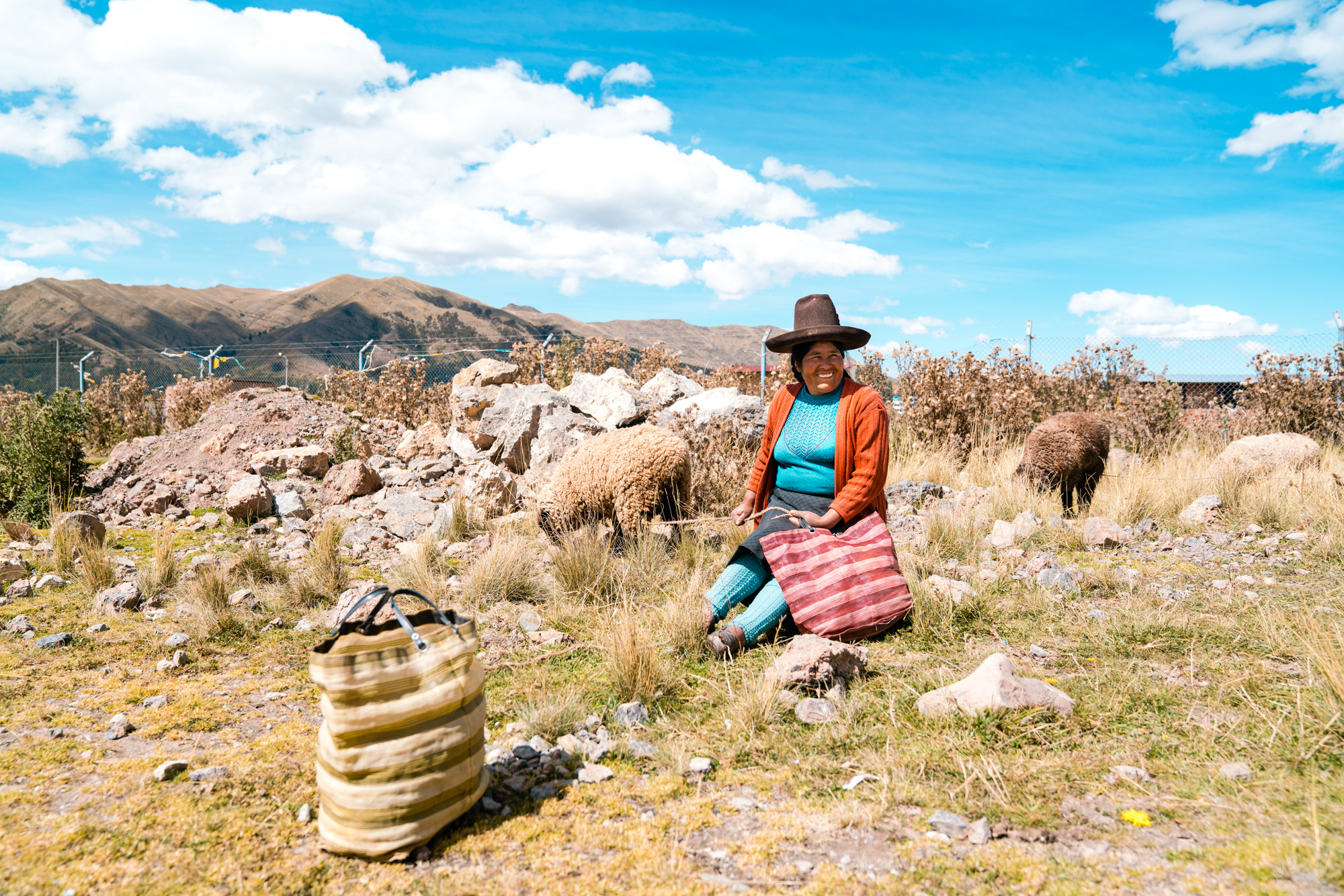 Peruvian woman watches over her sheep at a local farmers market. Laguna Puray. Peru, 2018