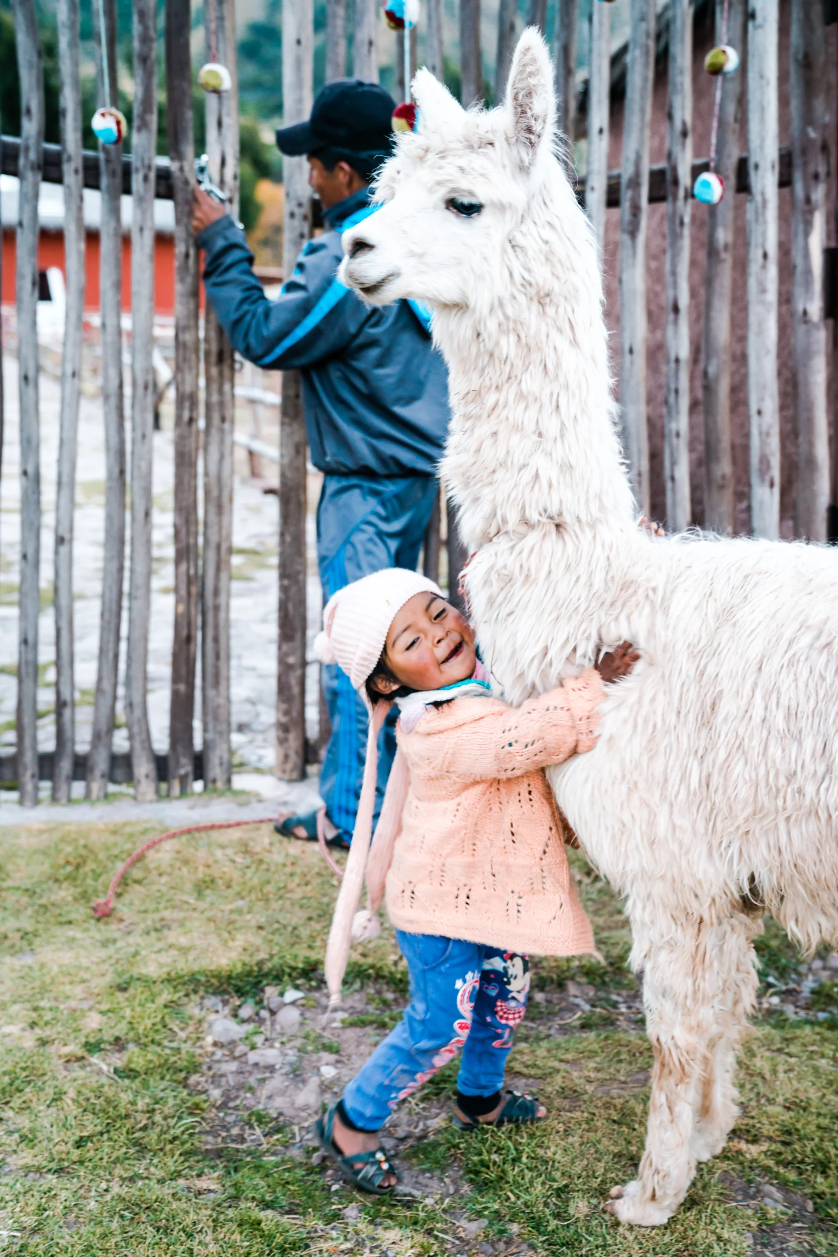 alpacachild-4.jpg