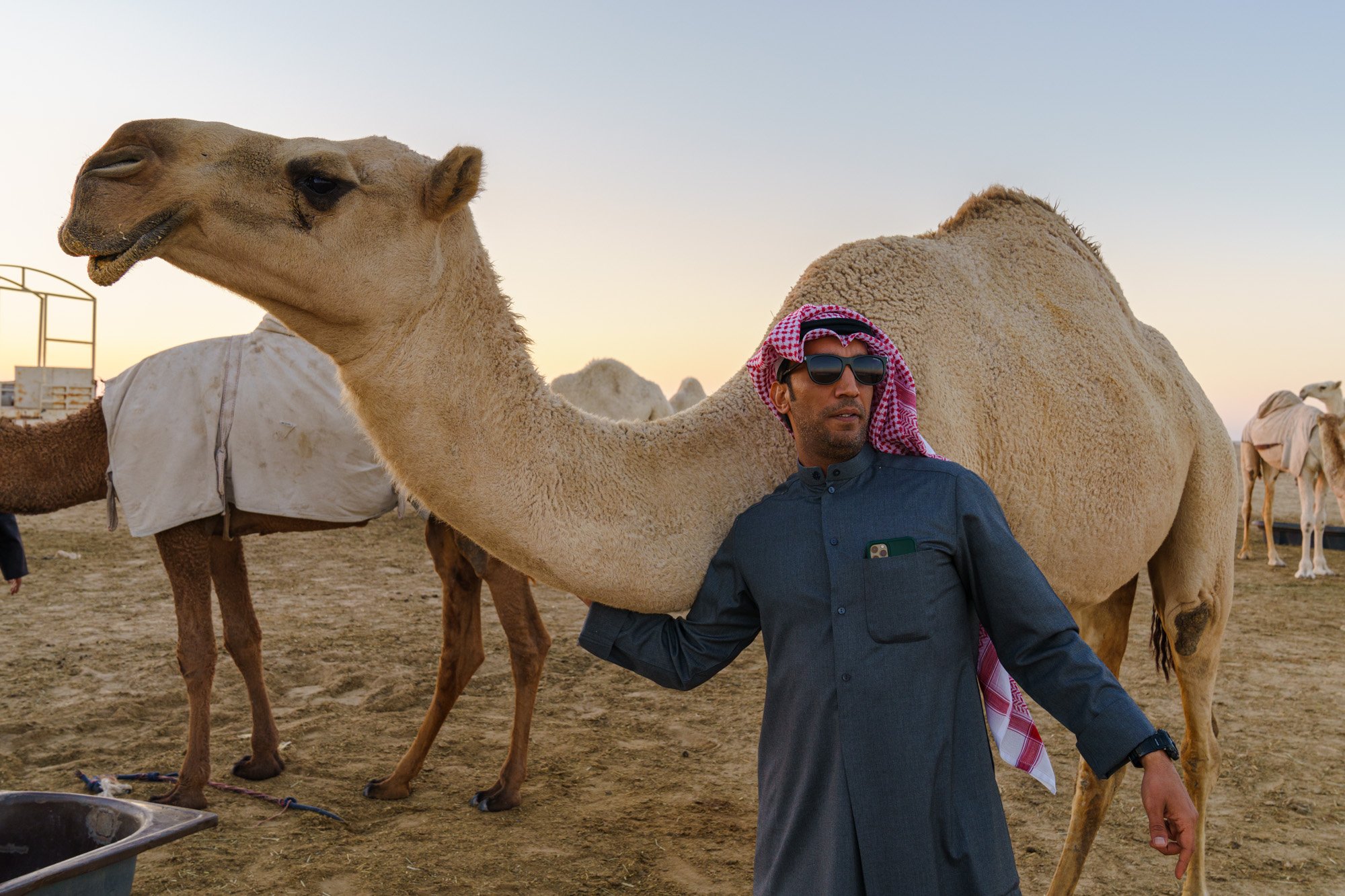  An evening with Ahmed and his camels.   Salmi Desert, North Kuwait near Iraq Border. 2021 