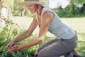 Avoiding Gardening Pains