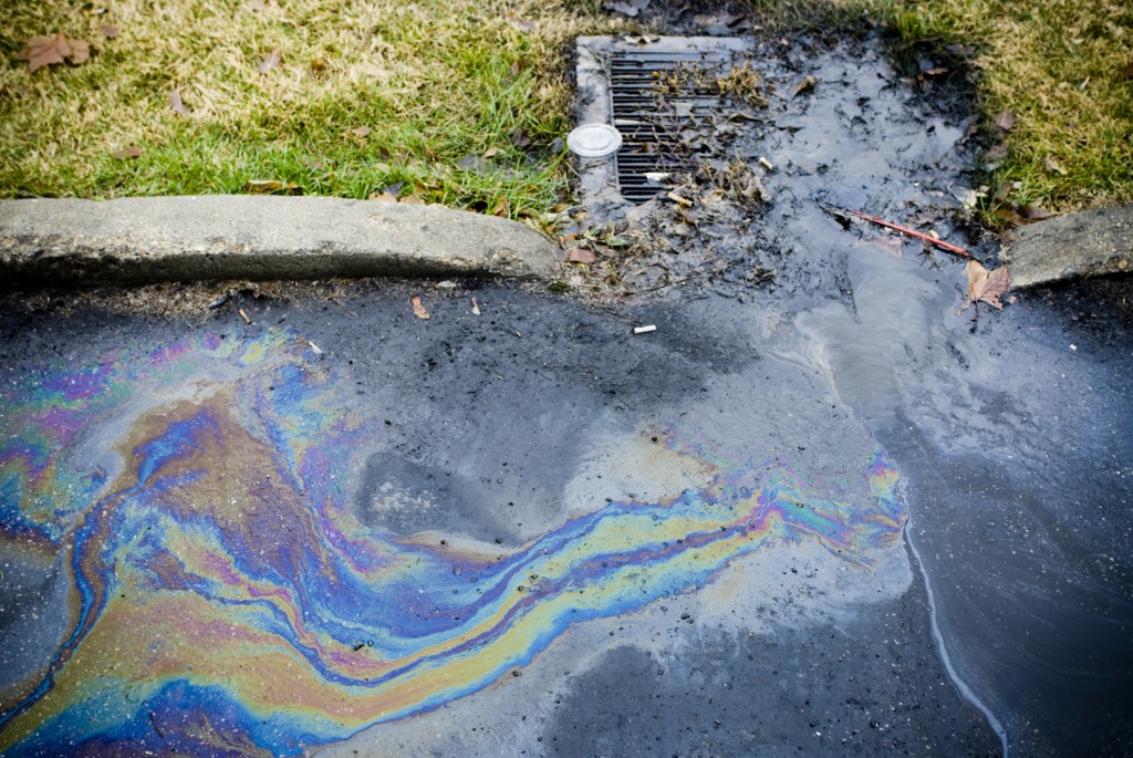 A "first flush" of all the pollutants from an asphalt road after a rain event