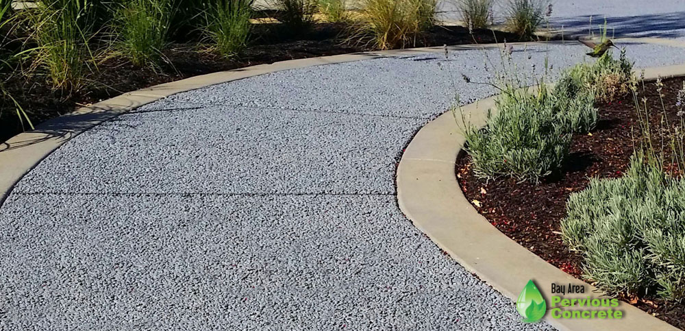 Walkway- Classic Pervious Concrete with Traditional Concrete Border