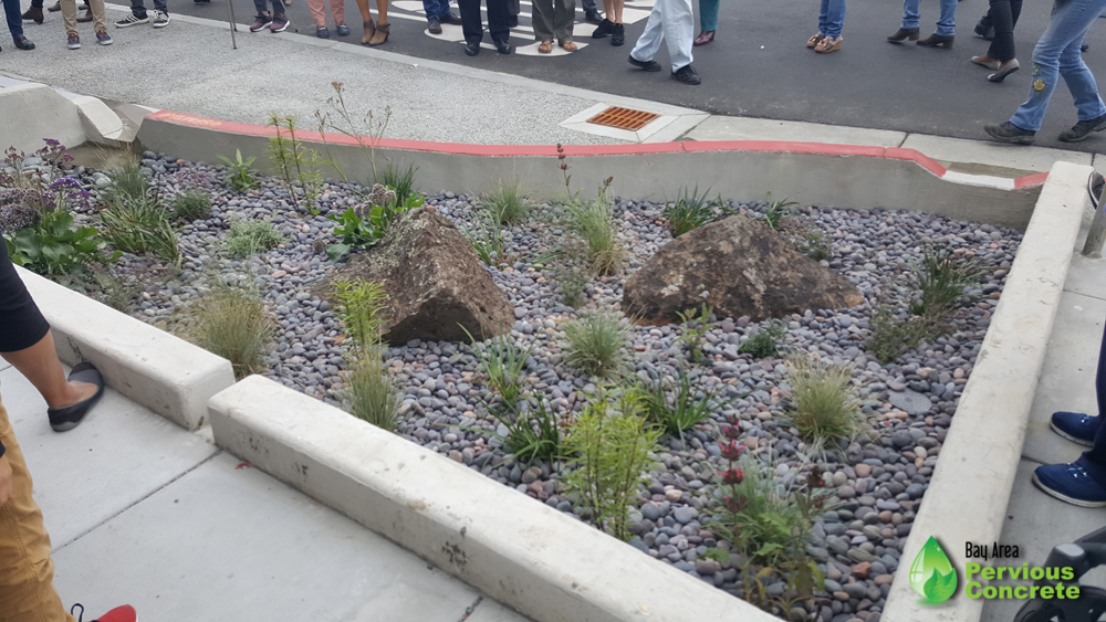 Holloway Green Street rain garden bulbout
