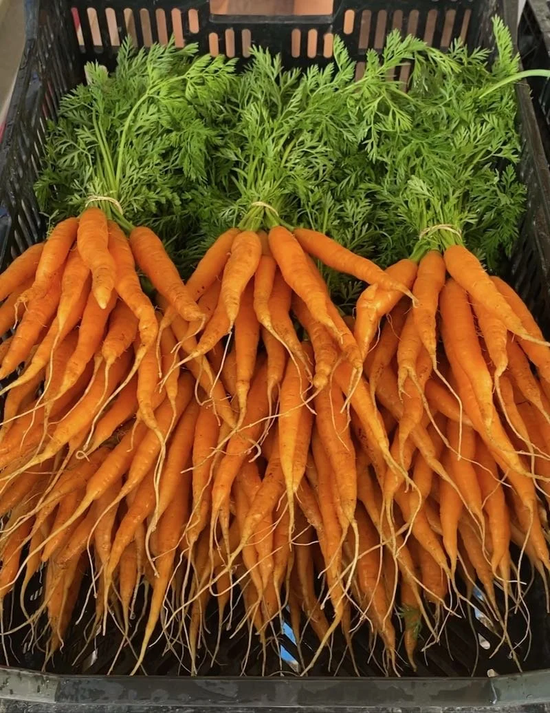 Carrots (no greens)