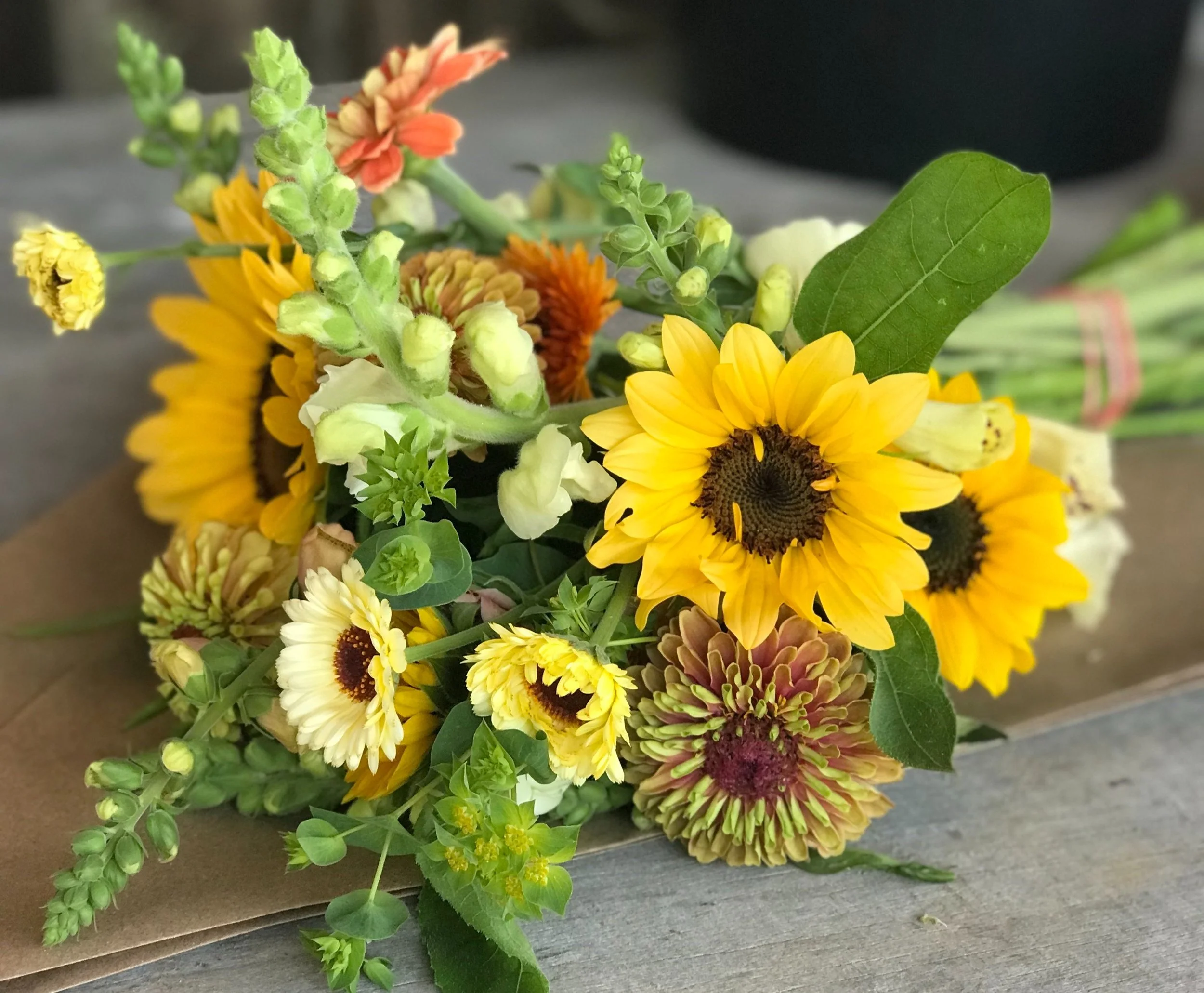 Bells Bend Farms