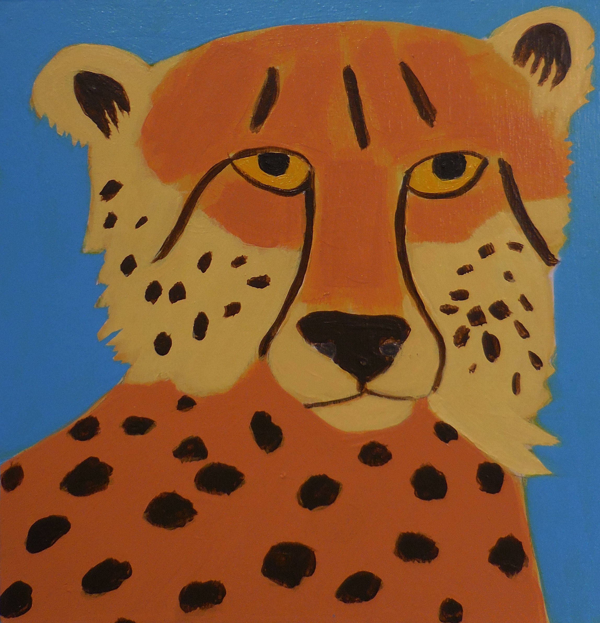 Cheetah.jpg