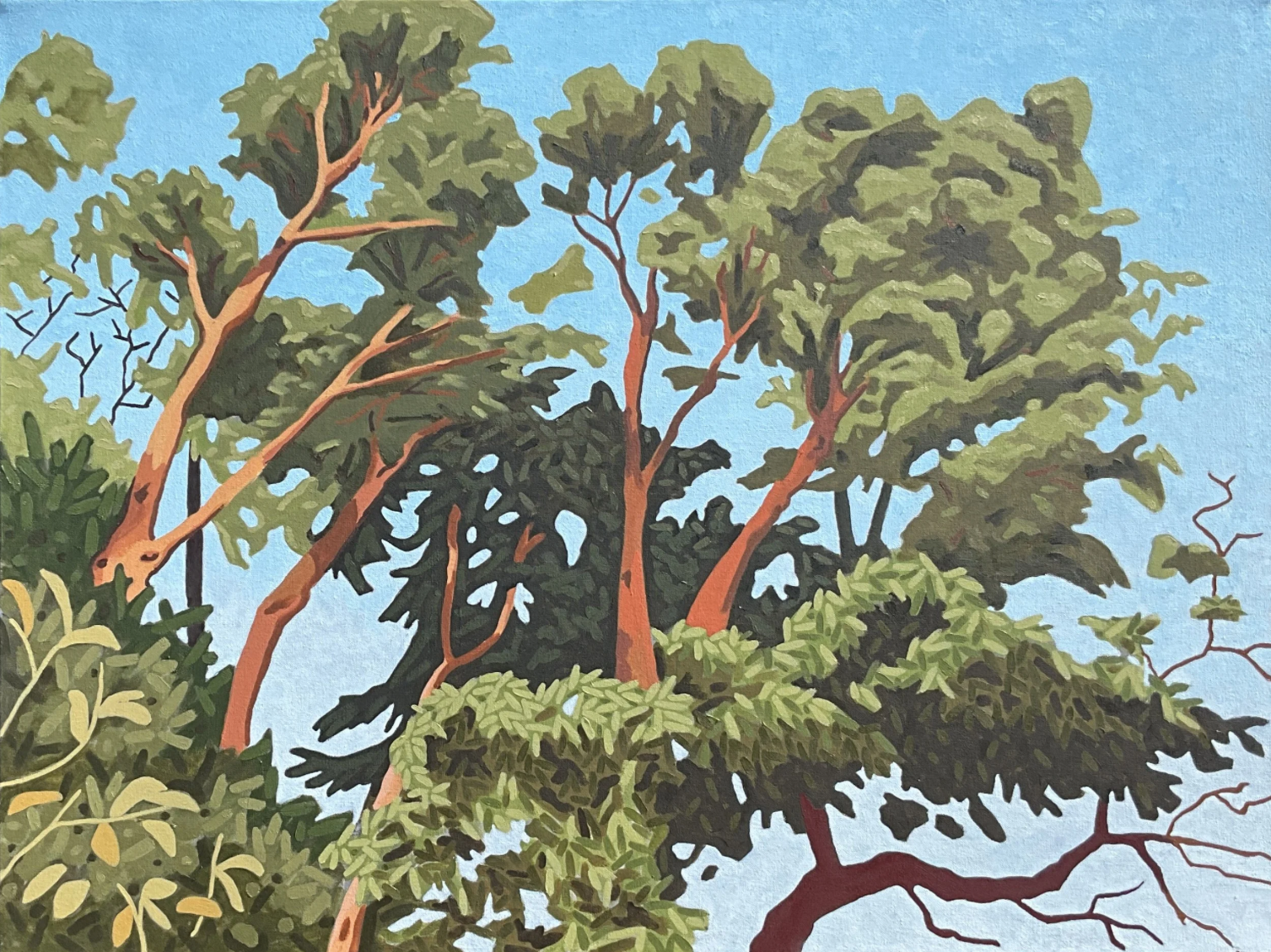 Madronas.png