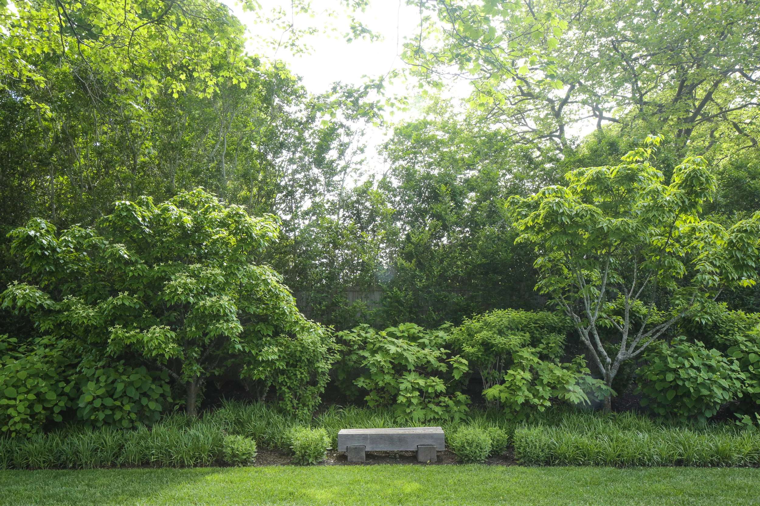 laguardia_design6-7-17-6516.jpg