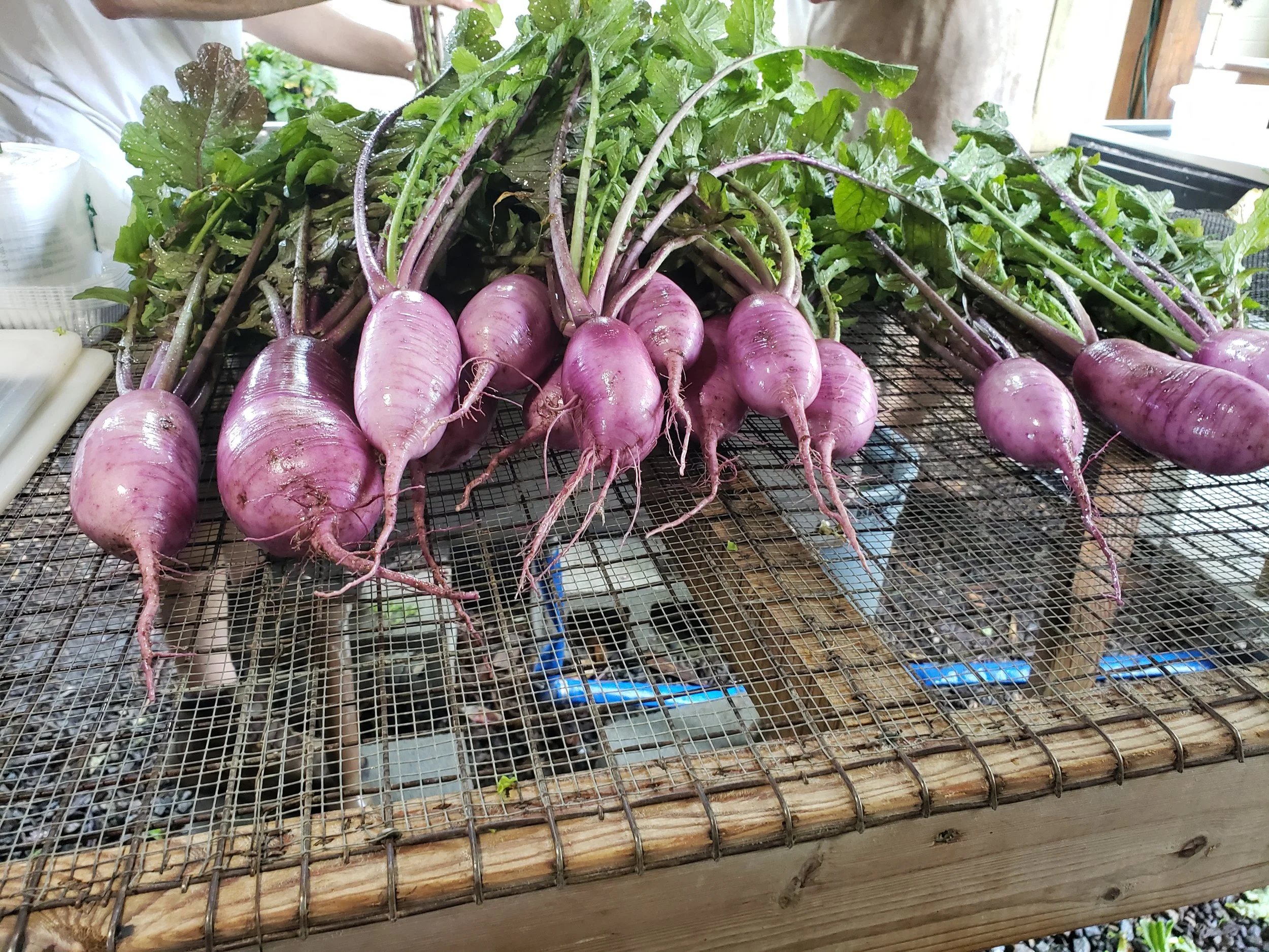 20180810_091224 (1).jpg