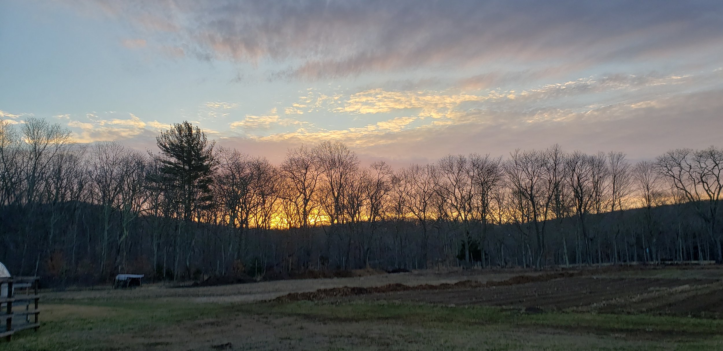 20190331_065240.jpg