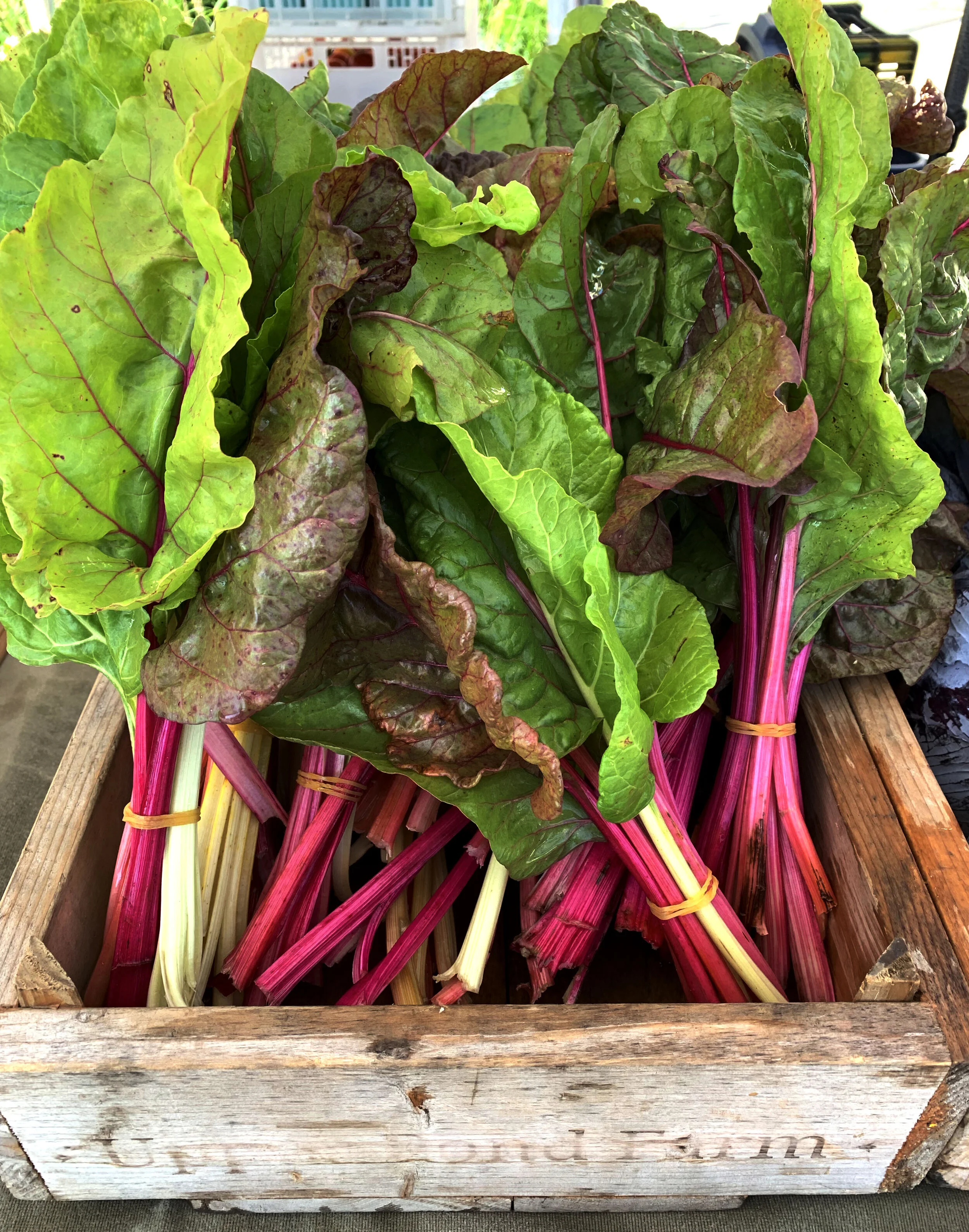 chard.jpg