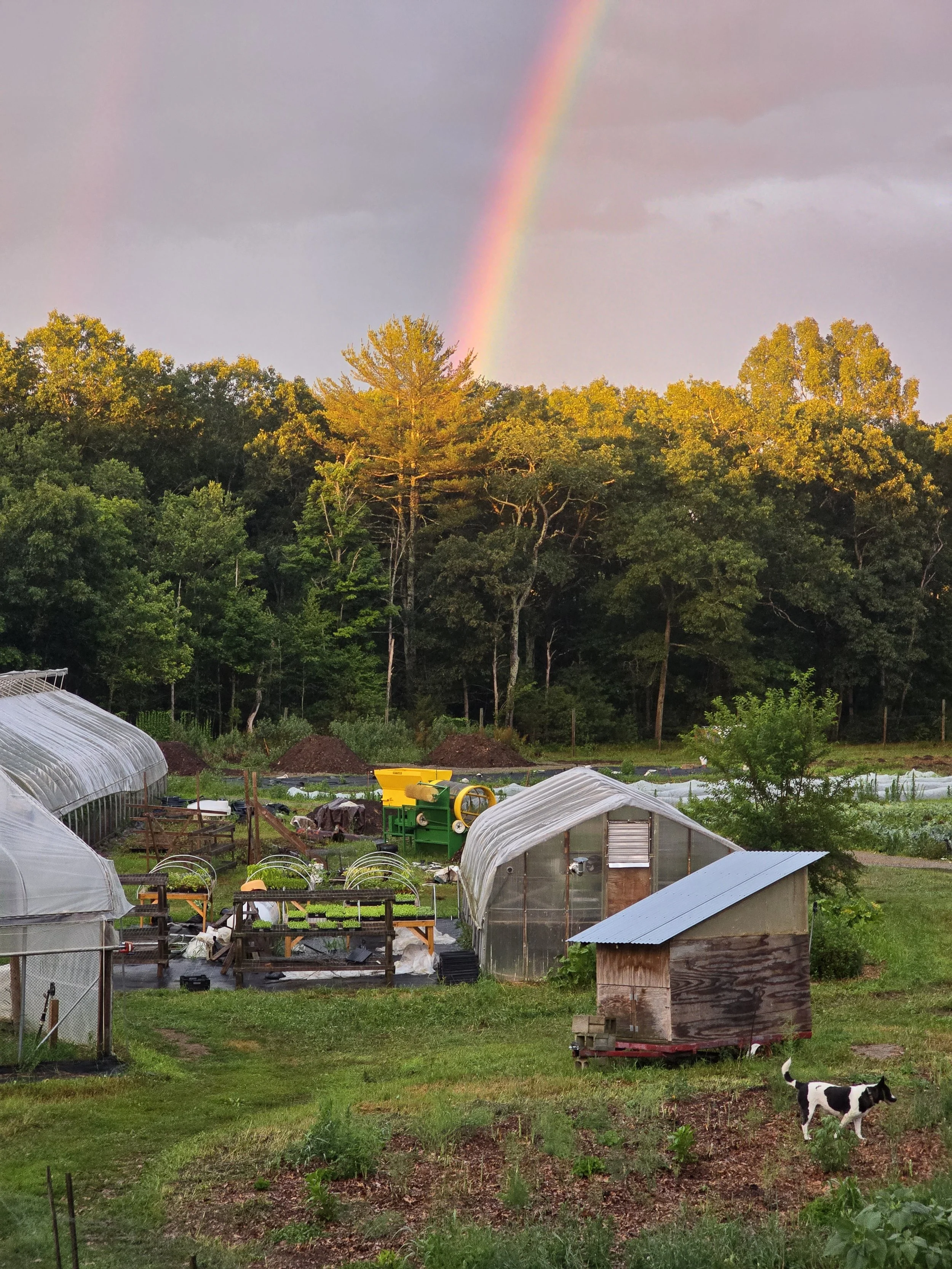 Compost — Long Table Farm