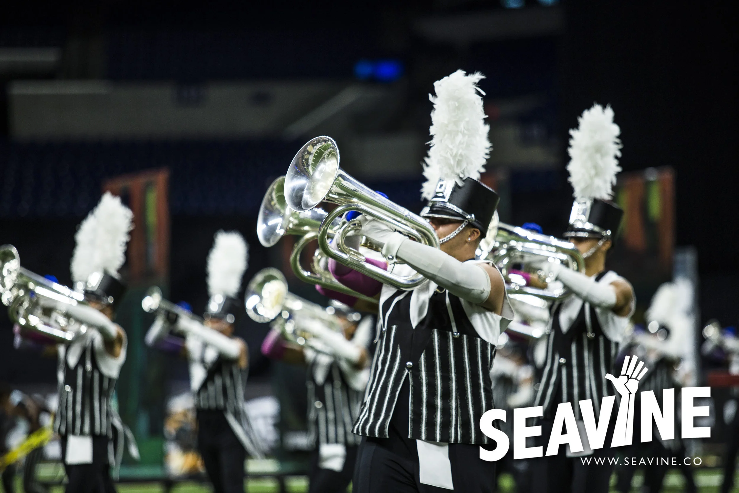 SEAVINE_8_10_IMG_0061_WATERMARK.jpg
