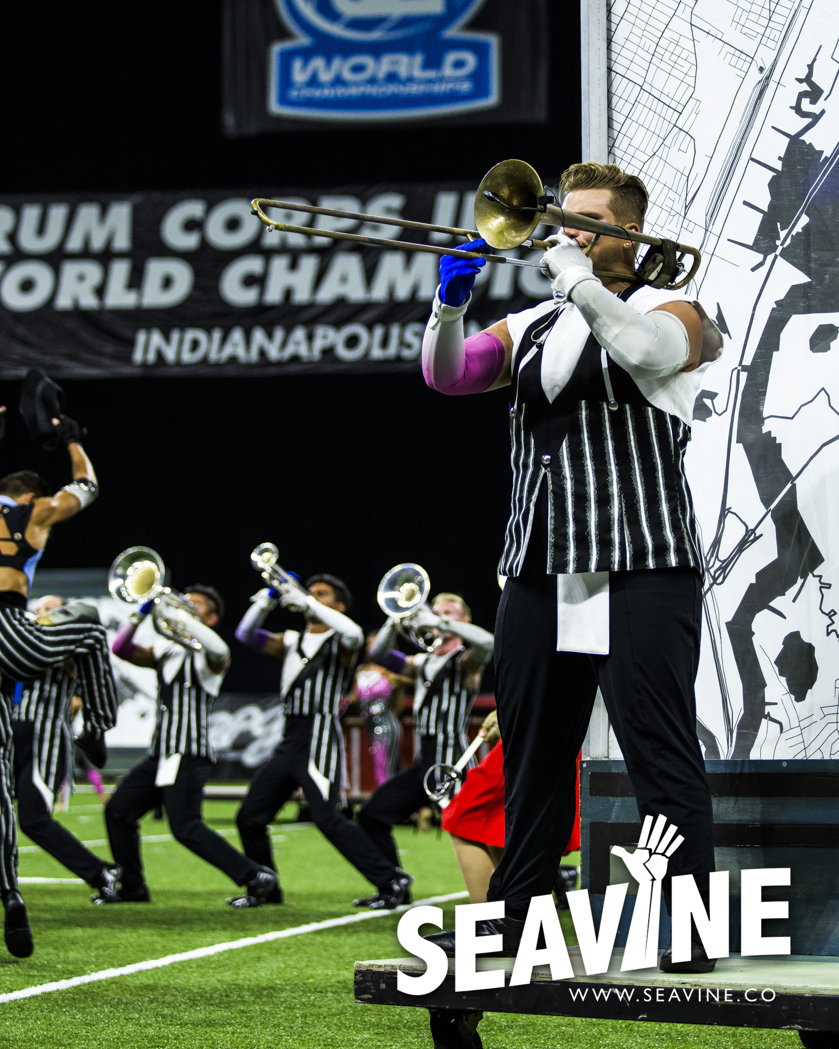 SEAVINE_8_10_IMG_0266_WATERMARK.jpg