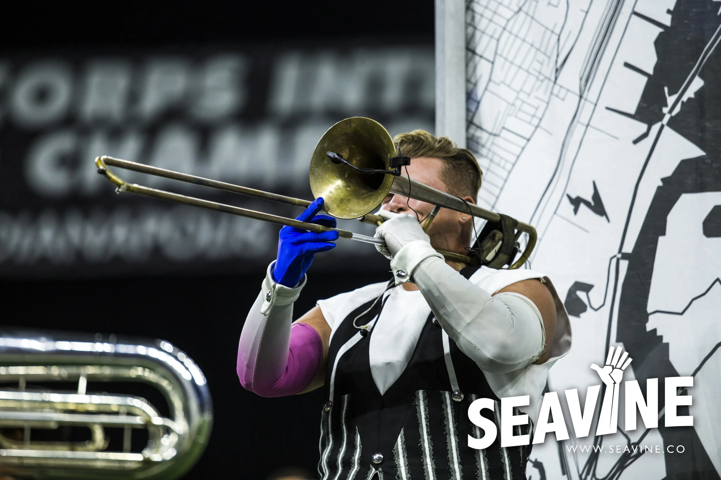 SEAVINE_8_10_IMG_0273_WATERMARK.jpg