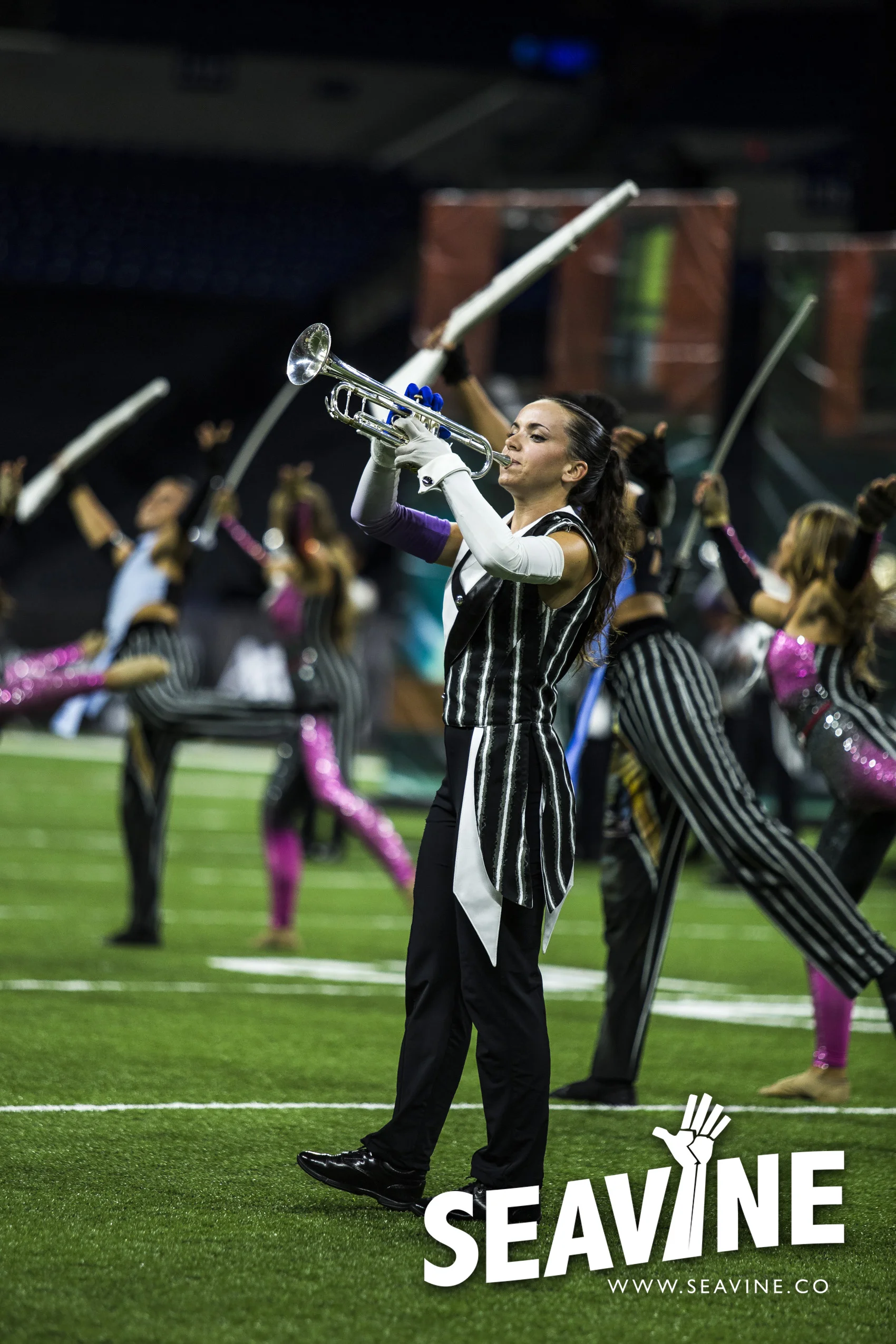 SEAVINE_8_10_IMG_0305_WATERMARK.jpg