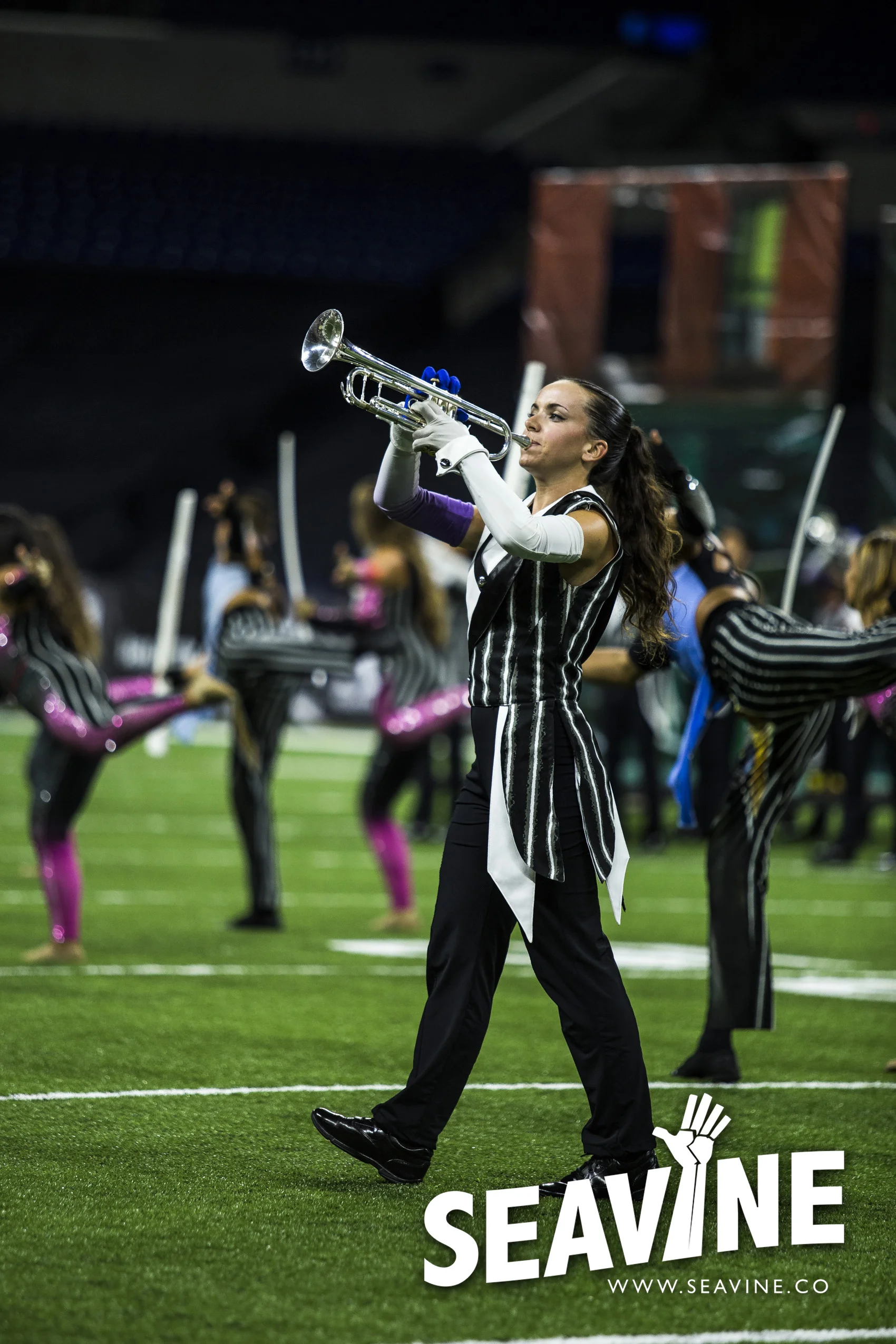 SEAVINE_8_10_IMG_0306_WATERMARK.jpg