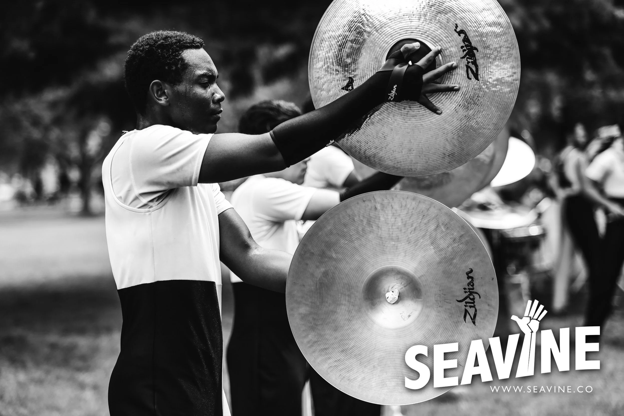 SEAVINE_8_10_IMG_0492_WATERMARK.jpg