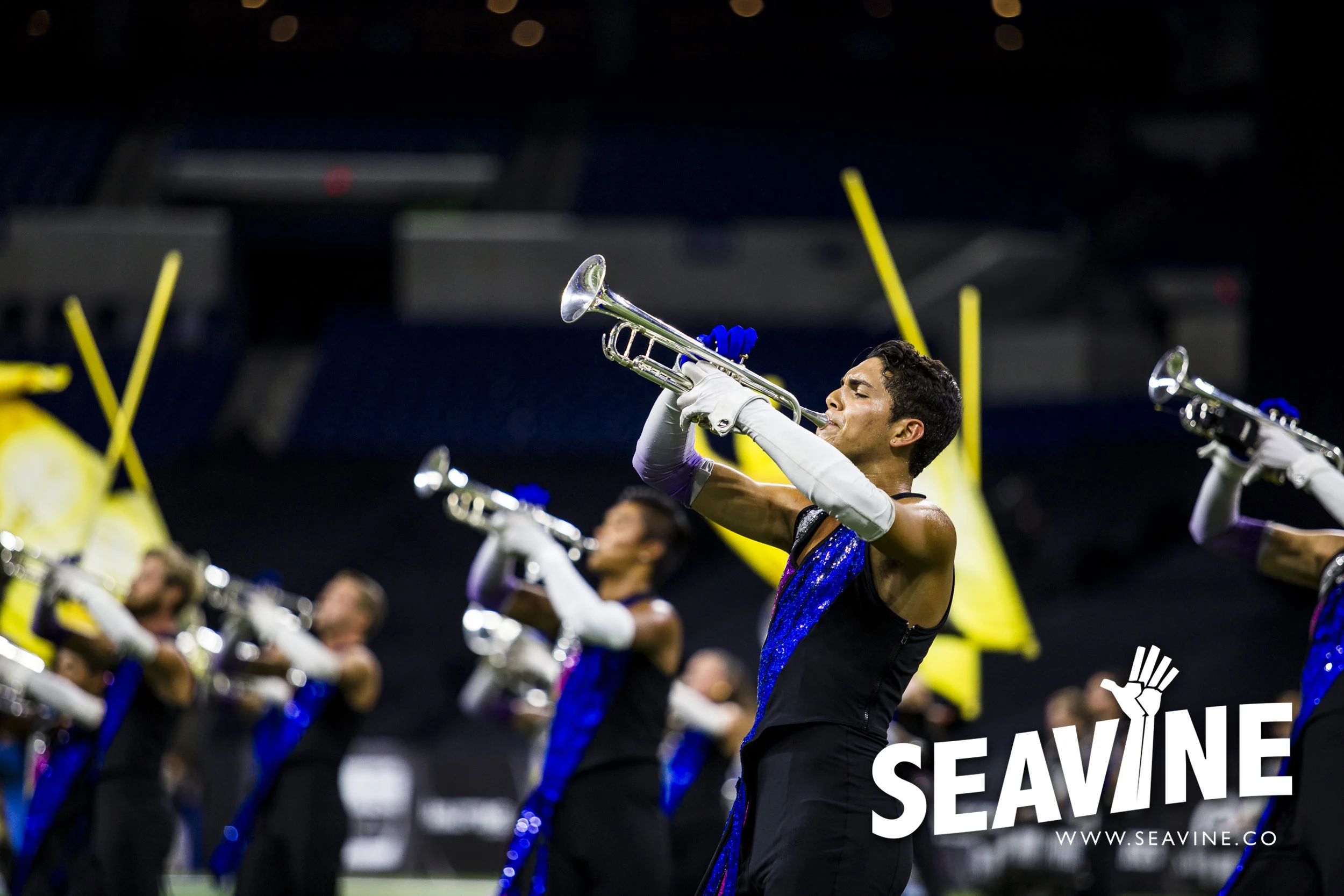 SEAVINE_8_11_IMG_0187_WATERMARK.jpg