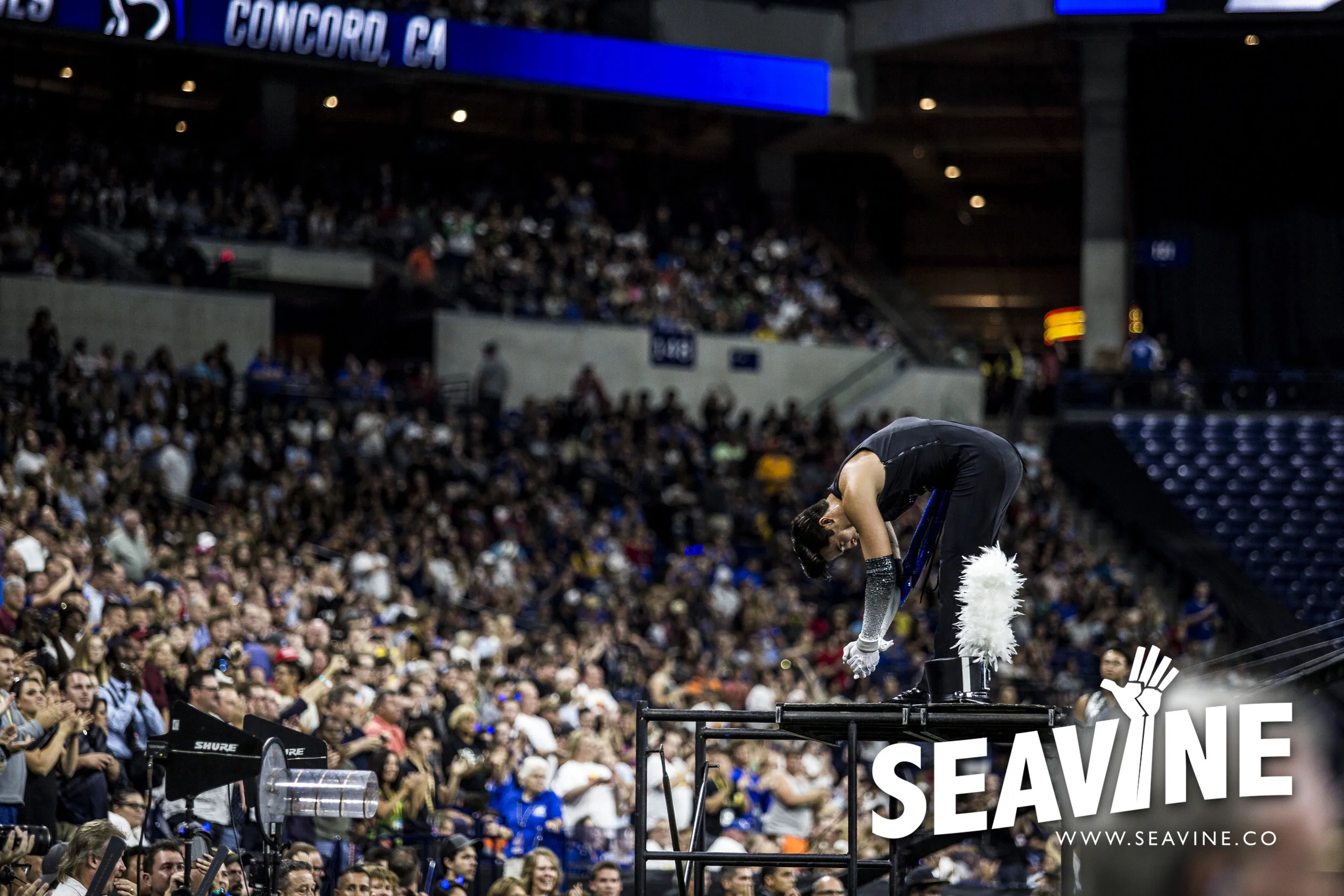 SEAVINE_8_11_IMG_0250_WATERMARK.jpg