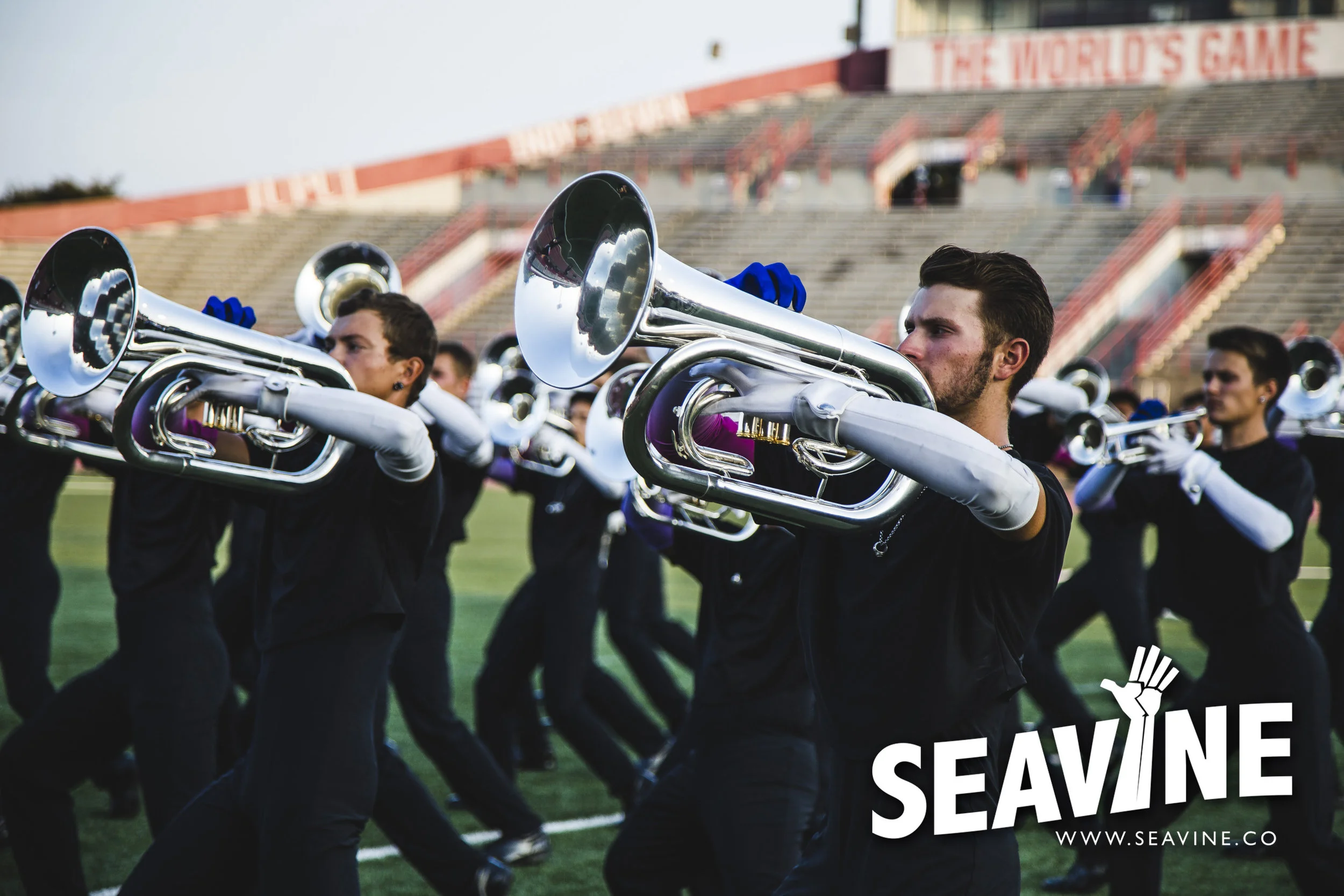 SEAVINE_8_11_IMG_0533_WATERMARK.jpg